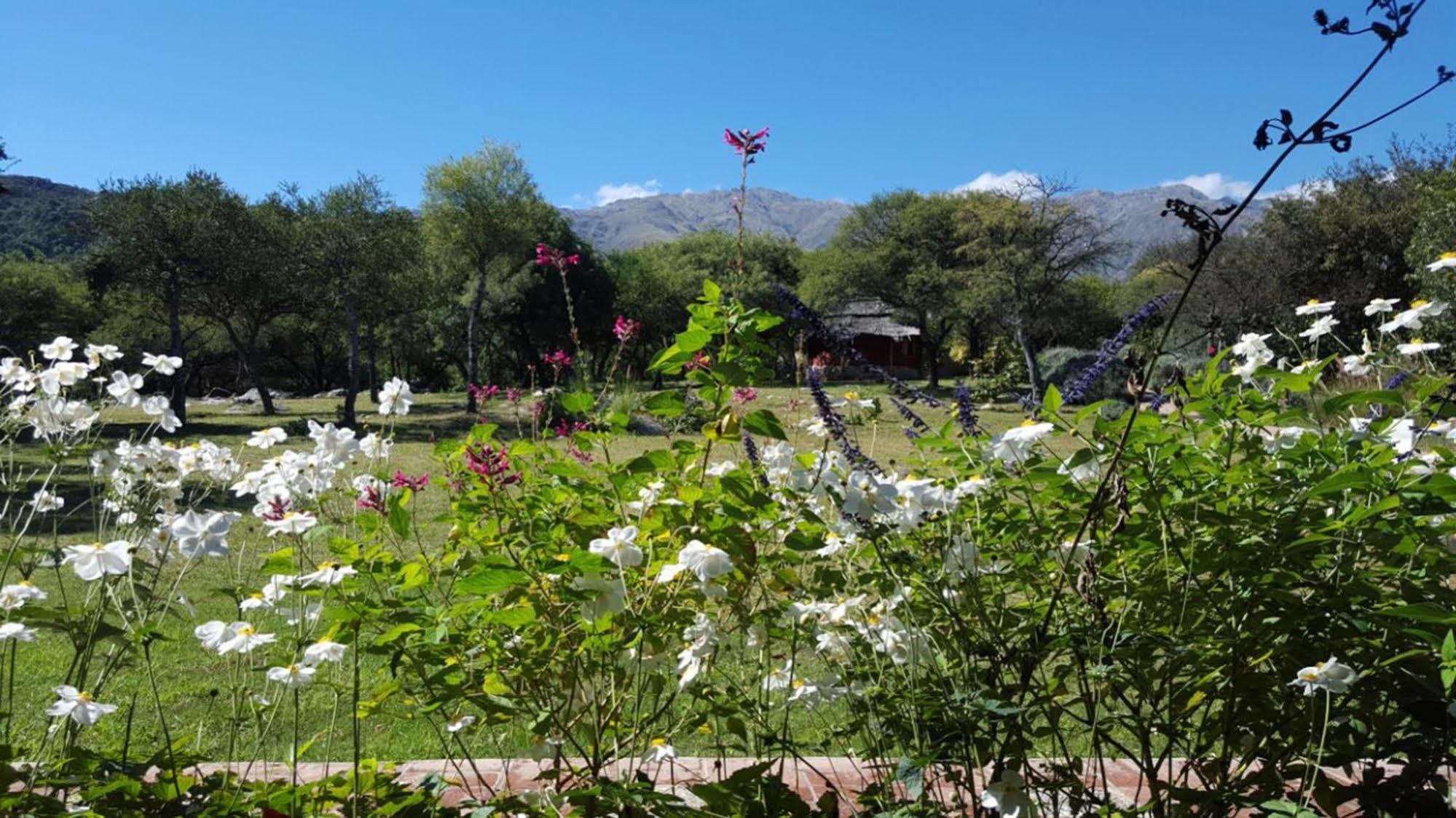 Las Dalias Villa Las Rosas Exterior foto